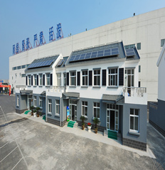 光伏小鎮(zhèn)示范建筑